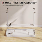 Standing Desk with Drawer, Electric Height Adjustable Home Office Desk with Storage & USB Ports, 48 inch White Wood Tabletop/White Frame