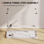 Standing Desk with Drawer, Electric Height Adjustable Home Office Desk with Storage & USB Ports, 55 inch White Wood Tabletop/White Frame