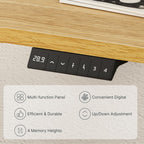 FLEXISPOT EN1 Whole-Piece Standing Desk, 48 x 24 Inches Height Adjustable Desk Stand up Desk Home Office Table for Computer Laptop (White Frame + Maple Desktop)