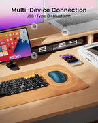 ProtoArc Bluetooth Wireless Mouse, USB C Mouse, EM15 Rechargeable Compact Portable Type C Wireless Mice for Laptop, Tablet, PC, Windows, Mac OS-Blue