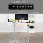 VIVO Electric 48 x 30 in Standing Desk, Memory Height Adjustment, 1B Series, One-Piece Light Wood Top, Gray Frame, DESK-KIT-1G5C