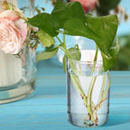 Crtiin 20 Pack Clear Acrylic Pen Holder Makeup Brush Round Pencil Holder for Desk Pen Cups Desk Organizers and Storage Desktop Stationery Organizer for Office School Home Supplies