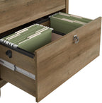 Bush Furniture Salinas 2 Drawer Lateral File Cabinet in Reclaimed Pine, Home Office Storage Solution, Organizer with Drawers for Workspace, Filing Unit