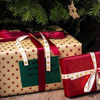 120 Pack Mini Envelopes Christmas Red and Green Envelopes Self-Adhesive Kraft Paper Tiny Pockets for Holiday Small Gift Cards Invitations Business Notes(4.13"×2.76") (Green)