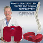 Everlasting Comfort Doctor Recommended Memory Foam Seat Cushion for Office Chairs & Car Seat - Ergonomic Office Desk Accessories for Tailbone Pain Relief, Sciatica & Back Support