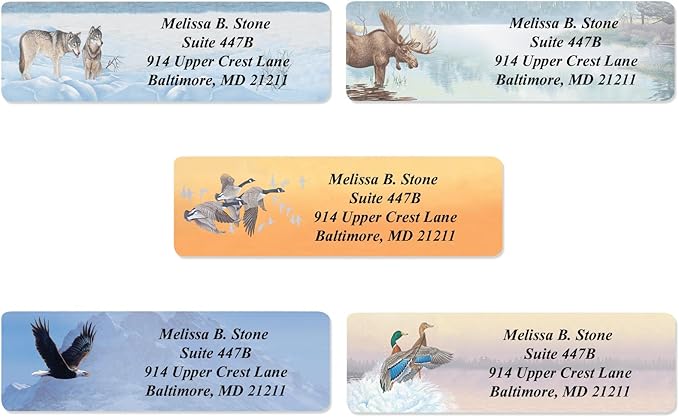 in The Wild Assorted Designer Name & Address Labels with Elegant Plastic Dispenser