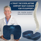 Everlasting Comfort Doctor Recommended Memory Foam Seat Cushion for Office Chairs & Car Seat - Ergonomic Office Desk Accessories for Tailbone Pain Relief, Sciatica & Back Support