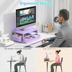 gianotter Wood Monitor Stand Riser, Desk Organizer with Drawer and 2 Pen Holders, 2-Tier Workspace Organizer for Office Supplies (Purple Wood)