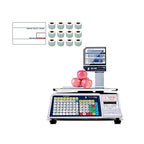 VisionTechShop DLP-300 Label Printing Scale Pole Display, 30/60lbs Capacity, 0.01/0.02lbs, NTEP Legal for Trade with a Free 1 case CAS LST-8010 UPC Label, 58 x 40mm