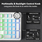 AULA F99 Pro Wireless Mechanical Keyboard-Silent Version,BT5.0/2.4GHz/USB-C Hot Swappable Custom Keyboard,Gasket Structure,Pre-lubed Linear Switches RGB Backlit Computer Gaming Keyboards,White