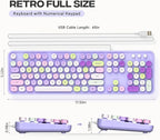 Computer Wired Keyboard, Plug Play USB Full-Size Keyboard with Large Number Pad, Caps Indicators, Foldable Stands, for Windows 7/8/10 PC Laptop (Purple Colorful)