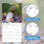 2025 Wall Calendar Funny Natures Dongs, January 2025 - December 2025, Funny Gag Gift for Adults, White Elephant Gift, 12 Months Organizer with D'ck Pics Nature Photos, 12" x 24" Opened
