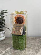 Teacher Appreciation Gifts Set – Crochet Sunflower Pen Holder, Mushroom Bookmarks, Charm Bracelet, Thank You Gift for Women Book Lovers