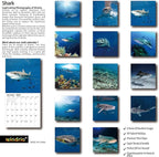 2025 Wall Calendar,Calendar 2025, January 2025 - December 2025, Wall Calendar Shark, 12" x 24" Opened,Full Page Months Thick & Sturdy Paper for Gift Perfect Calendar Organizing & Planning