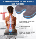 Everlasting Comfort Doctor Recommended Memory Foam Seat Cushion for Office Chairs & Car Seat - Ergonomic Office Desk Accessories for Tailbone Pain Relief, Sciatica & Back Support