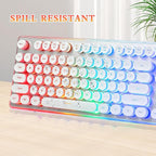 Typewriter Style Keyboard with Metal Panel, Rainbow LED Backlit, Round Keys, Anti-ghosting, Spill Resistant, Light Up USB Wired Retro 104 Keys for Office/Gaming, White/Silver