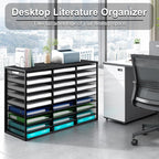 Mail Sorter Adjustable Countertop Heavy Duty Literature Organizer Student Mailbox for Classroom Desktop Bill Paper Holder Rack for Office Home School, 27 Compartments, Black
