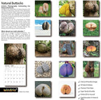 2025 Wall Calendar Funny Natures Dongs, January 2025 - December 2025, Funny Gag Gift for Adults, White Elephant Gift, 12 Months Organizer with D'ck Pics Nature Photos, 12" x 24" Opened