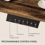 FLEXISPOT EN1 Whole-Piece Standing Desk, 48x30 Electric Sit Stand Desk for Home Office (Black Frame + Rustic Top, 2 Packages)