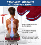 Everlasting Comfort Doctor Recommended Memory Foam Seat Cushion for Office Chairs & Car Seat - Ergonomic Office Desk Accessories for Tailbone Pain Relief, Sciatica & Back Support