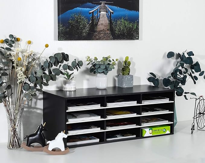 PAG Mail Sorter, Wood Countertop Literature Organizer, Student Mailbox for Classroom, Desktop Bill Paper Organizer for Office Home School, 12 Compartments, Black & White