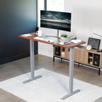 VIVO Electric 60 x 24 in Standing Desk, Memory Height Adjustment, 1B Series, One-Piece Dark Walnut Top, Gray Frame, DESK-KIT-1G6D