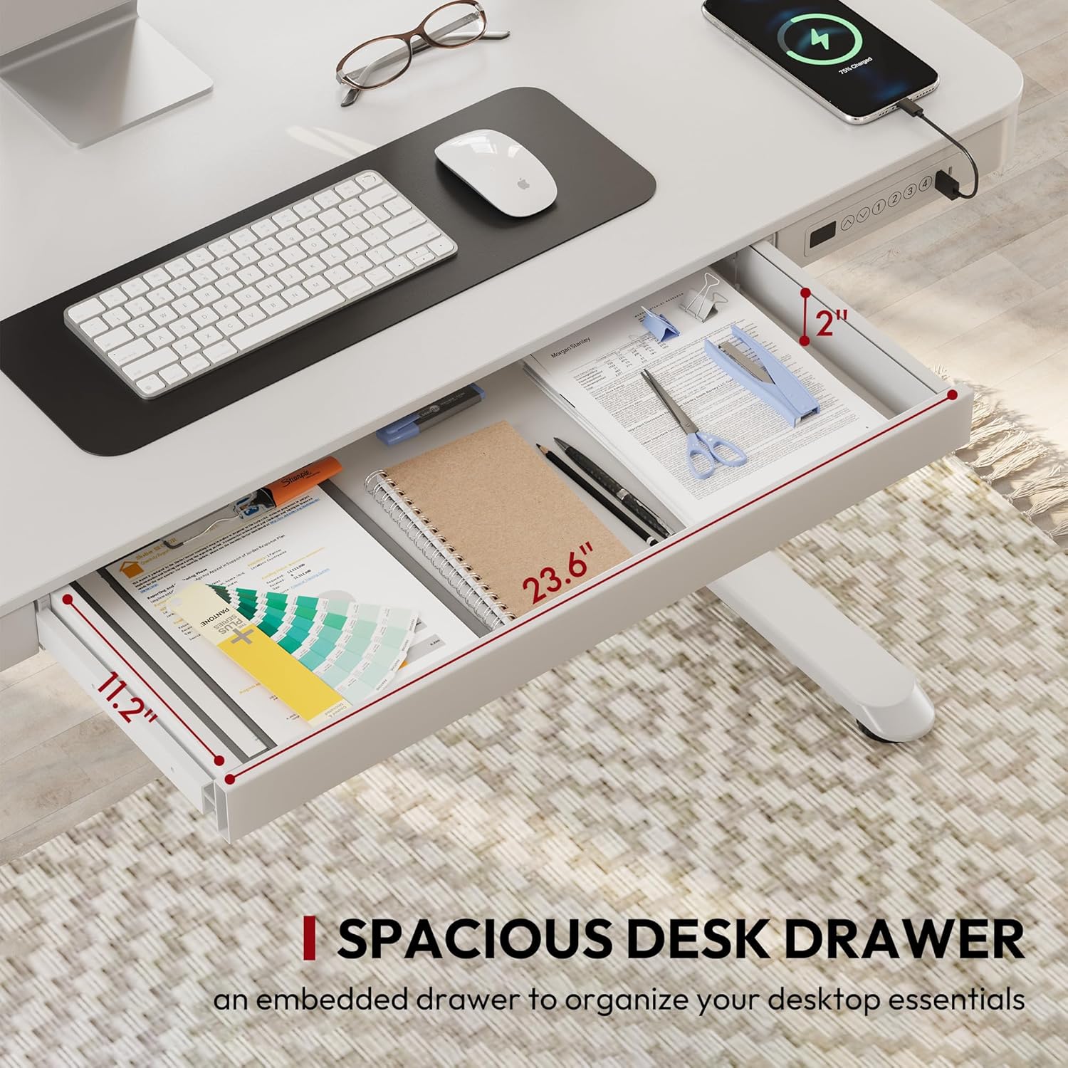 Standing Desk with Drawer, Electric Height Adjustable Home Office Desk with Storage & USB Ports, 48 inch White Wood Tabletop/White Frame