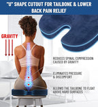 Everlasting Comfort Doctor Recommended Memory Foam Seat Cushion for Office Chairs & Car Seat - Ergonomic Office Desk Accessories for Tailbone Pain Relief, Sciatica & Back Support