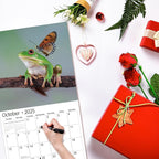 2025 Wall Calendar,Calendar 2025, January 2025 - December 2025, Wall Calendar Frog, 12" x 24" Opened,Full Page Months Thick & Sturdy Paper for Calendar Organizing & Planning