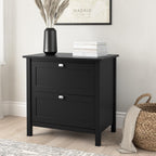 Bush Furniture Broadview 2 Drawer Lateral File Cabinet in Classic Black | Storage for Home Office Workspace