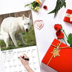 Gag Gift 2025 Wall Calendar, Funny White Elephants Funny Pooping Dogs Calendar 2025,12 Monthly Calendar, January 2025 - December 2025, 12" x 24" Opened Full Page Thick & Sturdy Paper for Organizing