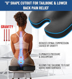 Everlasting Comfort Doctor Recommended Memory Foam Seat Cushion for Office Chairs & Car Seat - Ergonomic Office Desk Accessories for Tailbone Pain Relief, Sciatica & Back Support