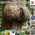 2025 Wall Calendar Funny Natures Dongs, January 2025 - December 2025, Funny Gag Gift for Adults, White Elephant Gift, 12 Months Organizer with D'ck Pics Nature Photos, 12" x 24" Opened